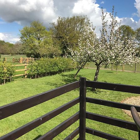 Staplehurst Maplehurst Barn Stables מראה חיצוני תמונה